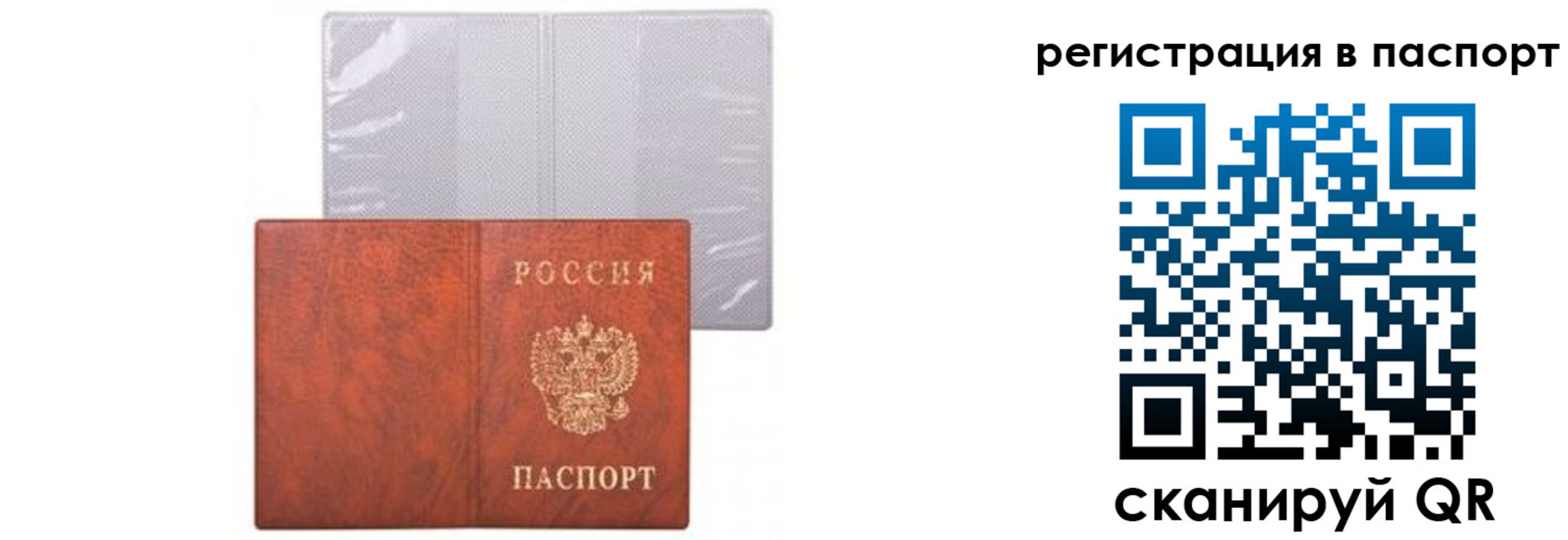 прописка ребенка в Торопеце